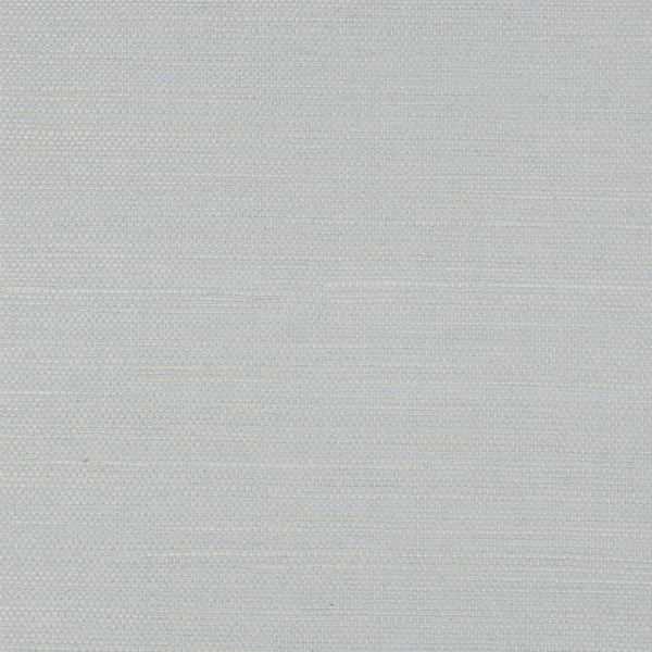 5010856.jpg